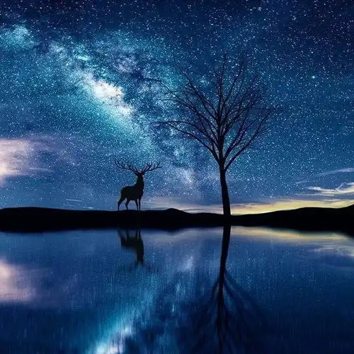 饱含智慧的人生感悟,句句经典,引人深思