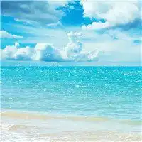 大海美景头像图片微信头像图片大全