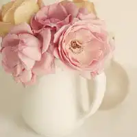 带花的唯美风景qq头像