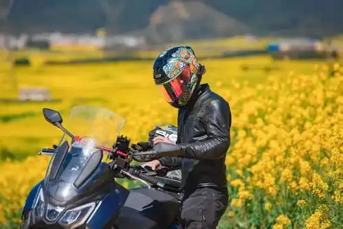 大哥你玩摩旅你玩它有啥用啊