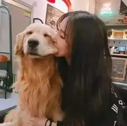 狗年最新流行的吸狗方式,嘬一口