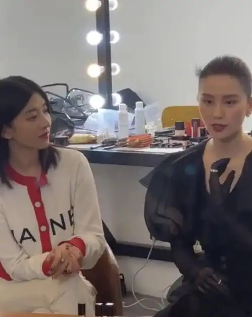 刘诗诗采访生图优雅大方女神气质十足,迷之角度撞脸周笔畅