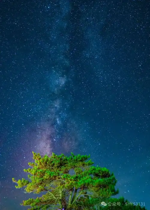 太子尖观星我们都生活在阴沟里,但仍有人在样望星空