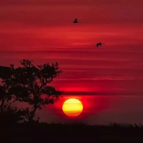 唯美的阳光微信头像