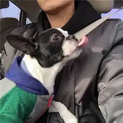 高冷霸气男生兄弟头像最新2018别对浪子啰嗦他喜欢洒脱