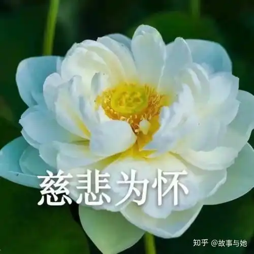 适合给父母的头像