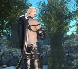 集耀眼与帅气一身ff14濒危物种精灵男美图