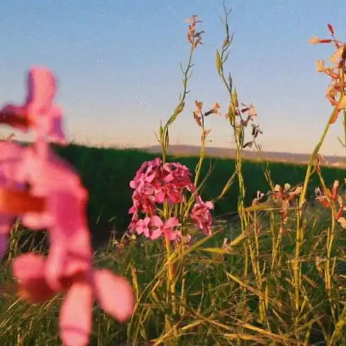 愿你所想,如你所愿