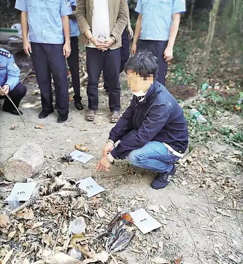 海南三亚多次猎杀野生动物,2名男子被刑拘