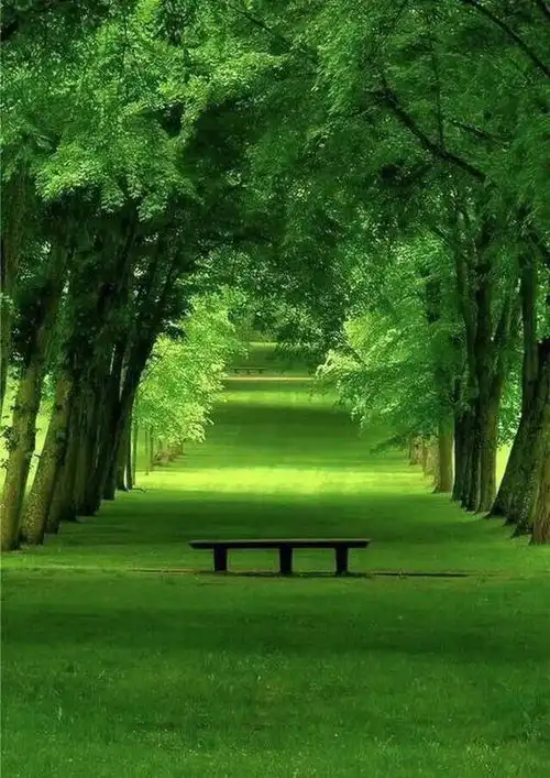 东北那些事第十二章