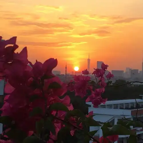 2023最新落日黄昏风景头像