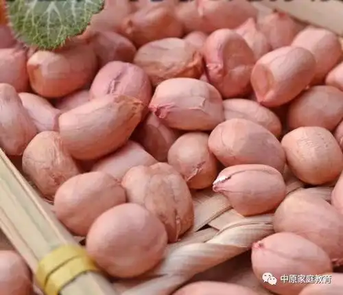 男人每天吃花生,提高免疫力,可这3种花生吃法反而会养病