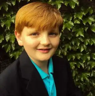 美少年新发明可防止婴儿车内死亡