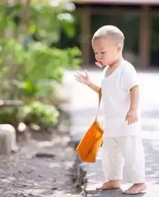 泰国超萌小和尚三月大入寺q版一休哥治愈系暖人心