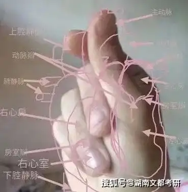 dbq,这些大学and专业的研究生不配过520