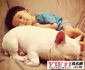 属狗年男宝宝名字大全