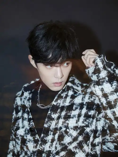 肖战穿黑白格衬衫,帅出了新境界,酷帅中又带有一份文艺的清新感