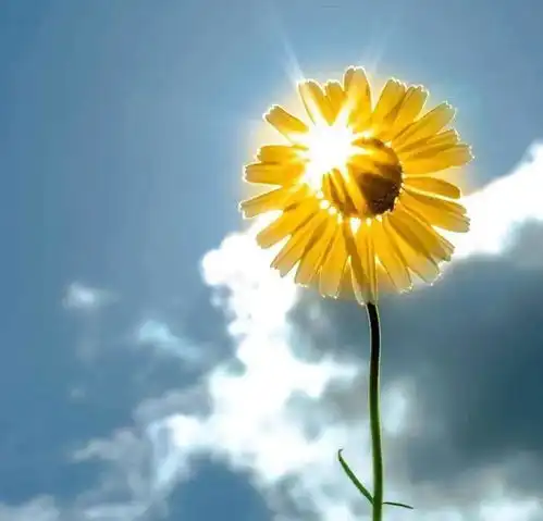 元旦将至江西大部分地区天气晴好局部地区早上有雾