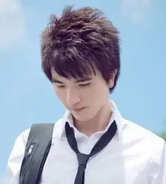 男生非主流爆炸头短发发型男生非主流时尚发型