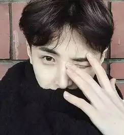 够man够帅气的男生中分侧分发型