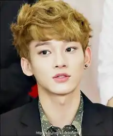 我要exo出道到现在所以人的发型照片和头发颜色,要很全的发型和头发颜色要有文字的,对比的