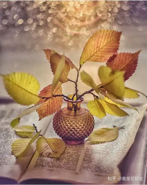 秋天玩叶子的正确姿势,简直不要太有创意
