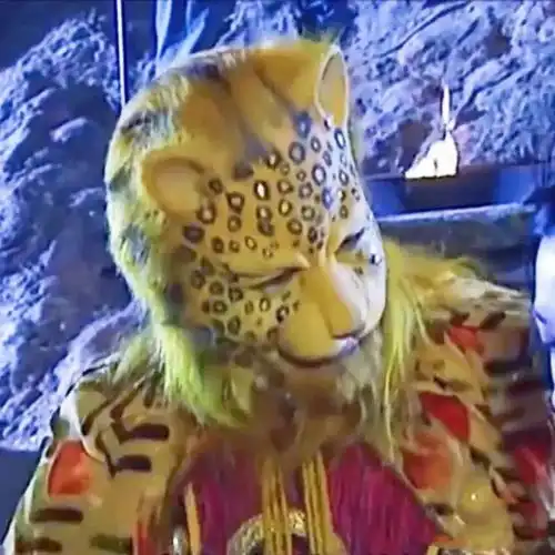 热门金钱豹合集