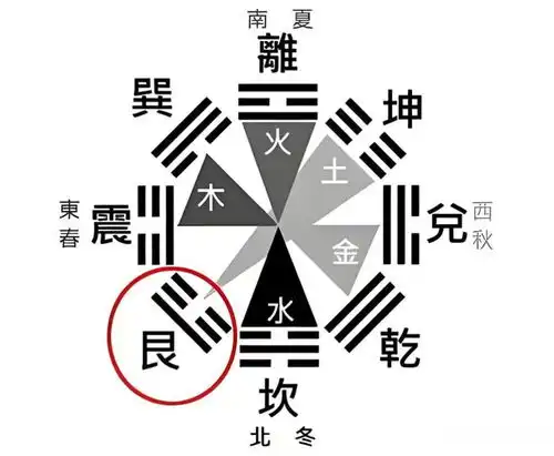 住宅风水养好宠物行好运