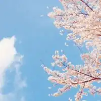 心平气和的头像心境平和的头像