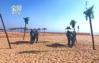 有一种入住叫住进酒店不出门跟着小小男神女神体验官一起来感受这家美轮美奂的奇妙酒店