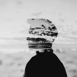 求这种类型的头像