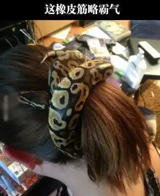 无处不在的奇葩女