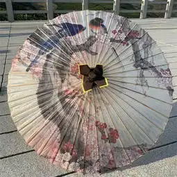 12星座专属古风流苏伞射手座是复古仙鹤,白羊座是梦幻仙女