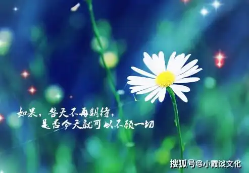 心寒心碎失望的伤感句子,字字刺心,哪一句戳中了你的泪点