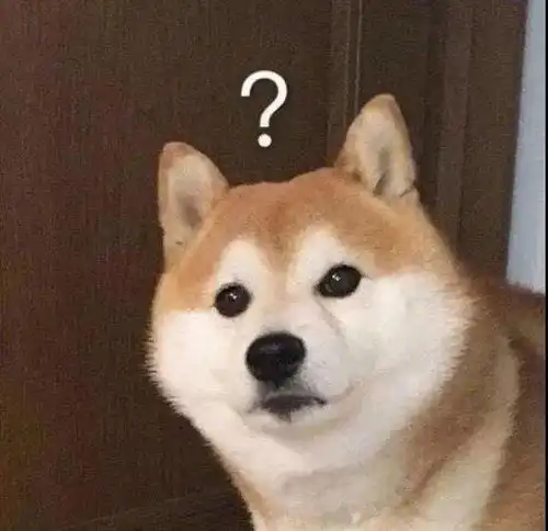 我又被男人骗了