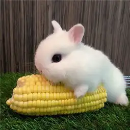 扣扣头像大全扣扣头像女2018最新扣扣头像男生腾牛个性网