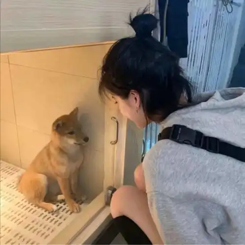 头像沙雕朋友圈权限已开启