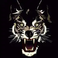 高清凶猛霸气的狼图片头像