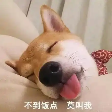 再也不用买会员啦外面红包天天免费领,小编亲测有效......