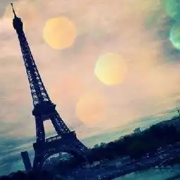 zwq22502最近访客