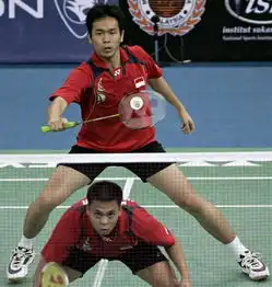 大马赛印尼组合问鼎男双两人配合默契