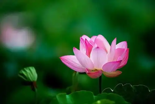 5月3日宇宙磁场对生肖影响