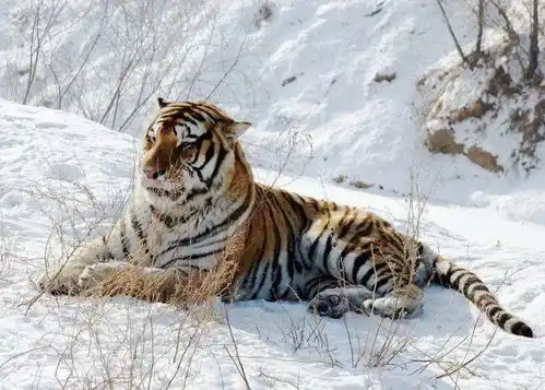 南方vs北方差异大战,爆笑来袭