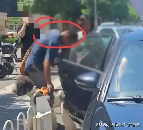 开着使馆车叫嚣外交豁免权的女子出面道歉评论区炸锅