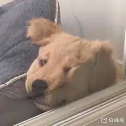 请问日本的六地藏站只有京都有吗,神奈川的藤泽市请问有六地藏站吗