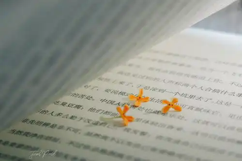 你有哪些关于人间美好文案和图片