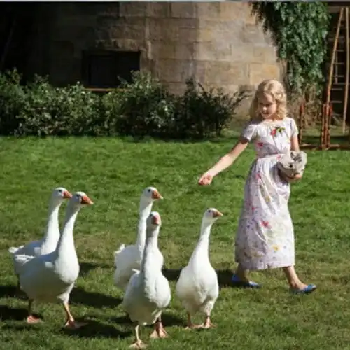 欧美风格萌娃系列精灵小孩儿