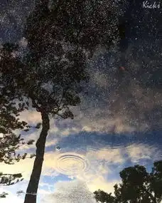 你以为是a,实际上是b这绝对是一组有魔力的图片