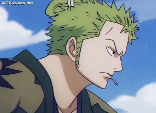 海贼王领衔世界动漫进入收费时代你们愿意付费看动漫吗