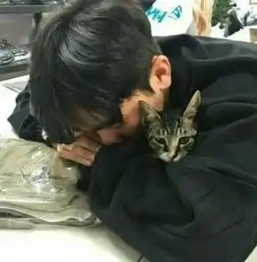 在郑州,你一定不能错过这15家餐厅每一家都是网红最爱